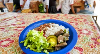 Merenda escolar poderá ter no máximo 15% de alimentos ultraprocessados